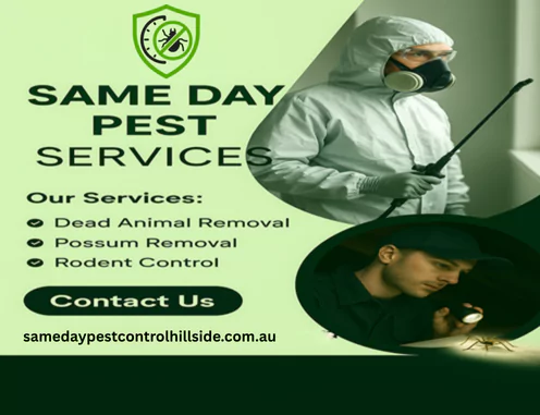 Pest Control Hillside